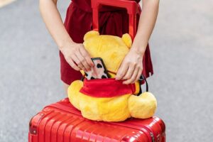 Balo gấu bông Pooh