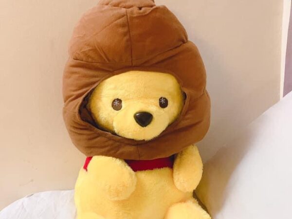 Gấu bông Pooh đội tổ ong